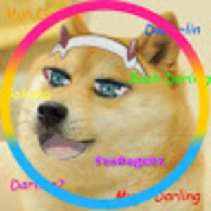 Meet your Posher, Elena